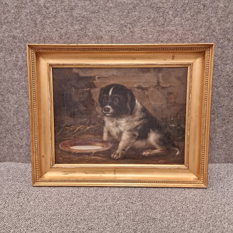 Niels Aagaard Lytzen maleri
Hundehvalp
