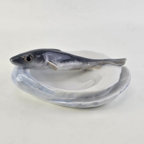 RC skålFisk på skaller618 159