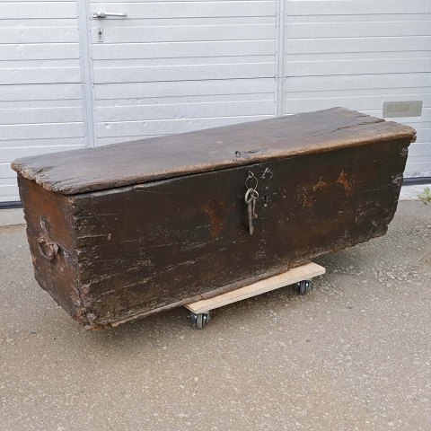 Antik egekiste fra 1500 tallet156 cm