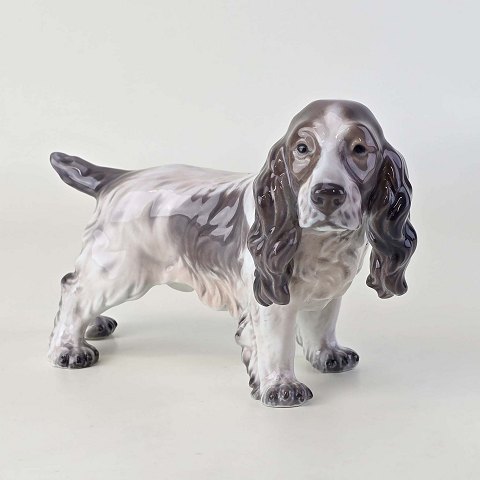 Dahl Jensen figur 1304 Cocker Spaniel13 cm