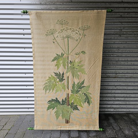 VægtæppeBjørneklo169x116 cm
